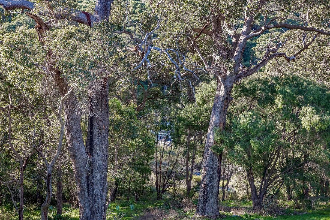 Villa Glennishka Margaret River Exterior foto